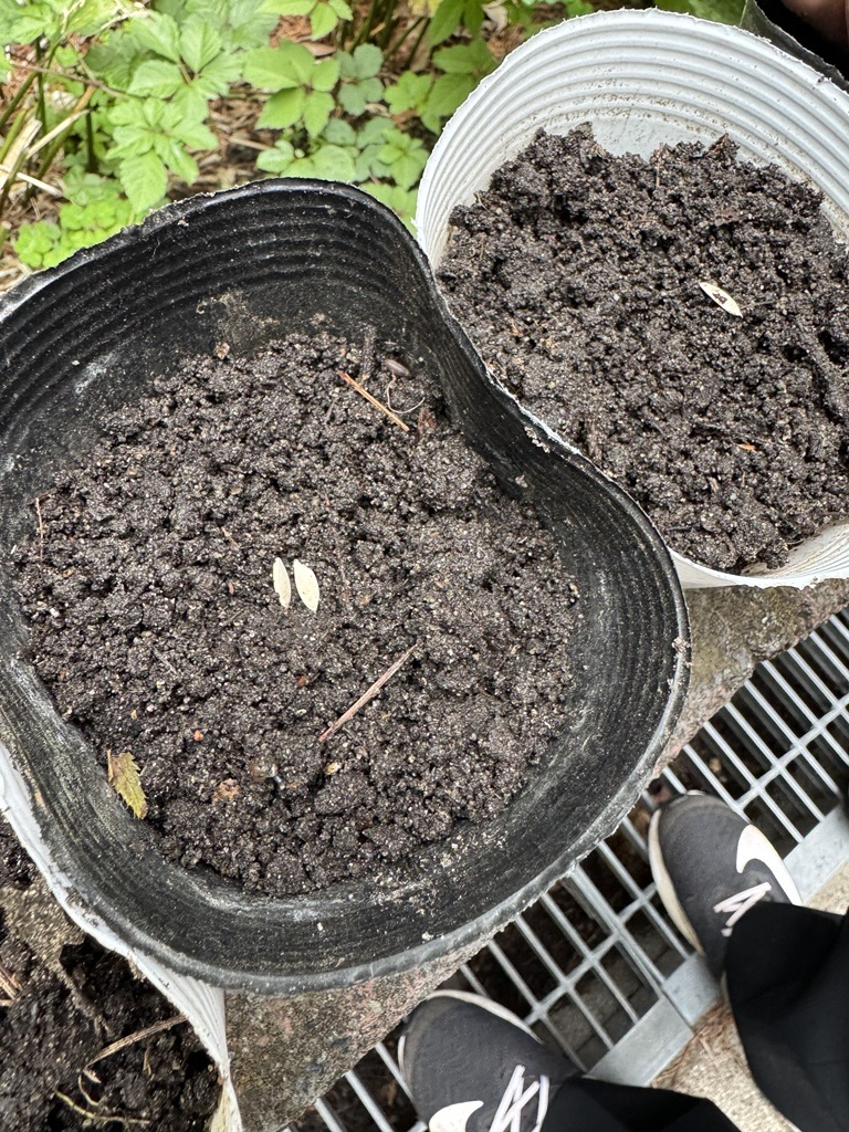 Image - 2026-04-30T105229.677